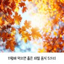 11월에 먹으면 좋은 제철음식 이미지