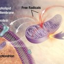 라파엘의원 이미지
