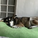 오광농장 이미지