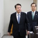 탱글탱글 이미지