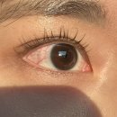 권율대로 894 | 2026, 03