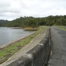 2024년 11월 23일 (토) – Hunua Suspension Bridge Track to Wairoa Loop Track 이미지