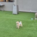 주식회사 견생상점 이미지