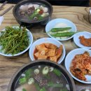 합천돼지국밥 - 창원시 마산회원구 | 합천돼지국밥