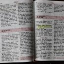 복음전파사 이미지