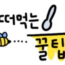 피스코이나즈카(Piscoynazca) 이미지