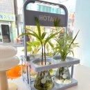 구산동강아지 | 구산동 반려동물 동반 카페 추천 -HOTAN(호탄) 카페 후기