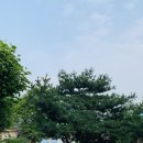 국립축산과학원 축산자원개발부 동물병원 | [일상] 시골집 함평에 다녀왔어요〰️