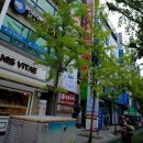 S fit(에스핏) 이미지