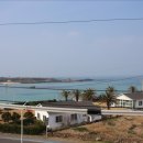 볼 게스트하우스