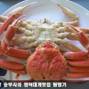 산호대게직판장 이미지