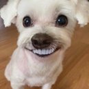 구현 | 자캐 메이크업 구현 후기..&gt;\\&lt;