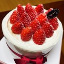 니어바이닥터 | 방학일상