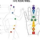 색채치유의 기본 메카니즘 이미지