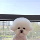 쓰리빈 이미지