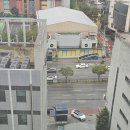 안양성모약국 | 추석에 무슨일이 - 출국날 둘째,엄마 독감확진🤮