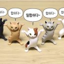 동아ST 합격 후기(2) 최종 면접, 합격~