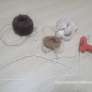 백일세탁소 이미지