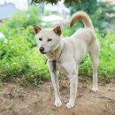 안방농장 이미지