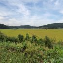 대요낚시터 이미지