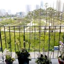 앙즈로여성병원 이미지