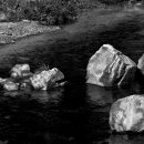 계곡의아침 이미지