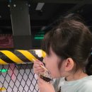 롤스타롤러스케이트장 이미지