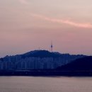 서울시티투어버스 야간코스 내돈내산 후기｜야경 명당자리·예약·타는곳 총정리
