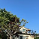 펜션 이상한 앨리스 이미지