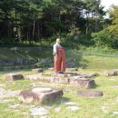 일일시호일 이미지