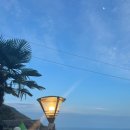 여울애견펜션 이미지