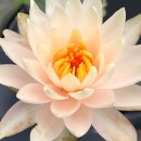 진동계곡산장2 이미지