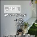 플러피비 네이버블로그