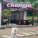 서로 | 충남 충주 애견동반 독채 감성 숙소 스테이옛 서로의 시선 내돈내산 후기