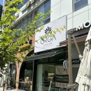 맘스터치 신월성점 이미지