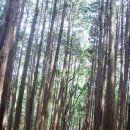 청평휴양림펜션 이미지