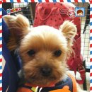 포포앤미루 강동점 이미지