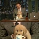 행운세탁빨래방 | 1월 27일 데일리코디 | 코인 빨래방 첫 방문 후기 | 인천공항 제2터미널 장기주차장 셔틀버스 꿀팁