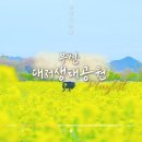 대저생태공원 입구 맞은편(대저1동 2314-1) | 대저생태공원 P4에서 유채꽃 제대로 즐기는 방법