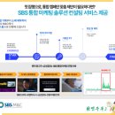 금성광고기획 이미지