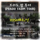 일오삼농장 이미지