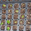 몸사랑농장 이미지