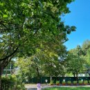 호서대부속유치원 이미지