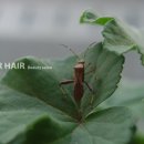 the(더)잘헤어