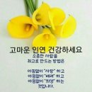 여기그리고지금 이미지