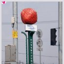 논산딸기마을 이미지