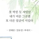 핑크스토리 네이버블로그