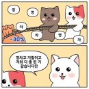 [24년 울릉도 여행] 4탄, 스노쿨링 포인트 추천 : 삼선암 수영 일기