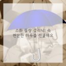 경희또봄한의원 이미지