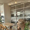 가배노을 이미지